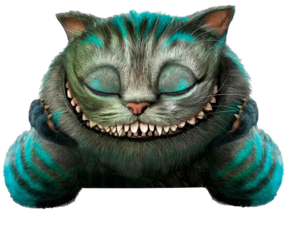 gato ojos cerrados