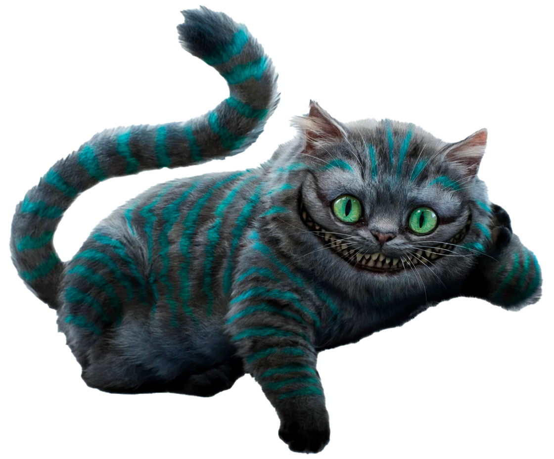 gato