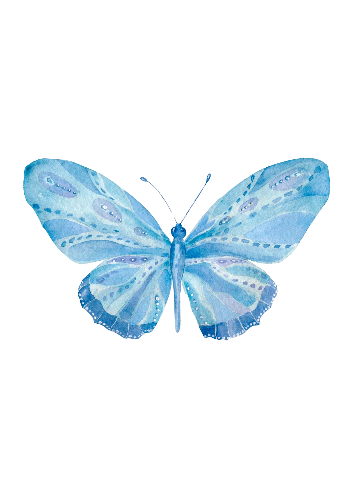 Mariposa