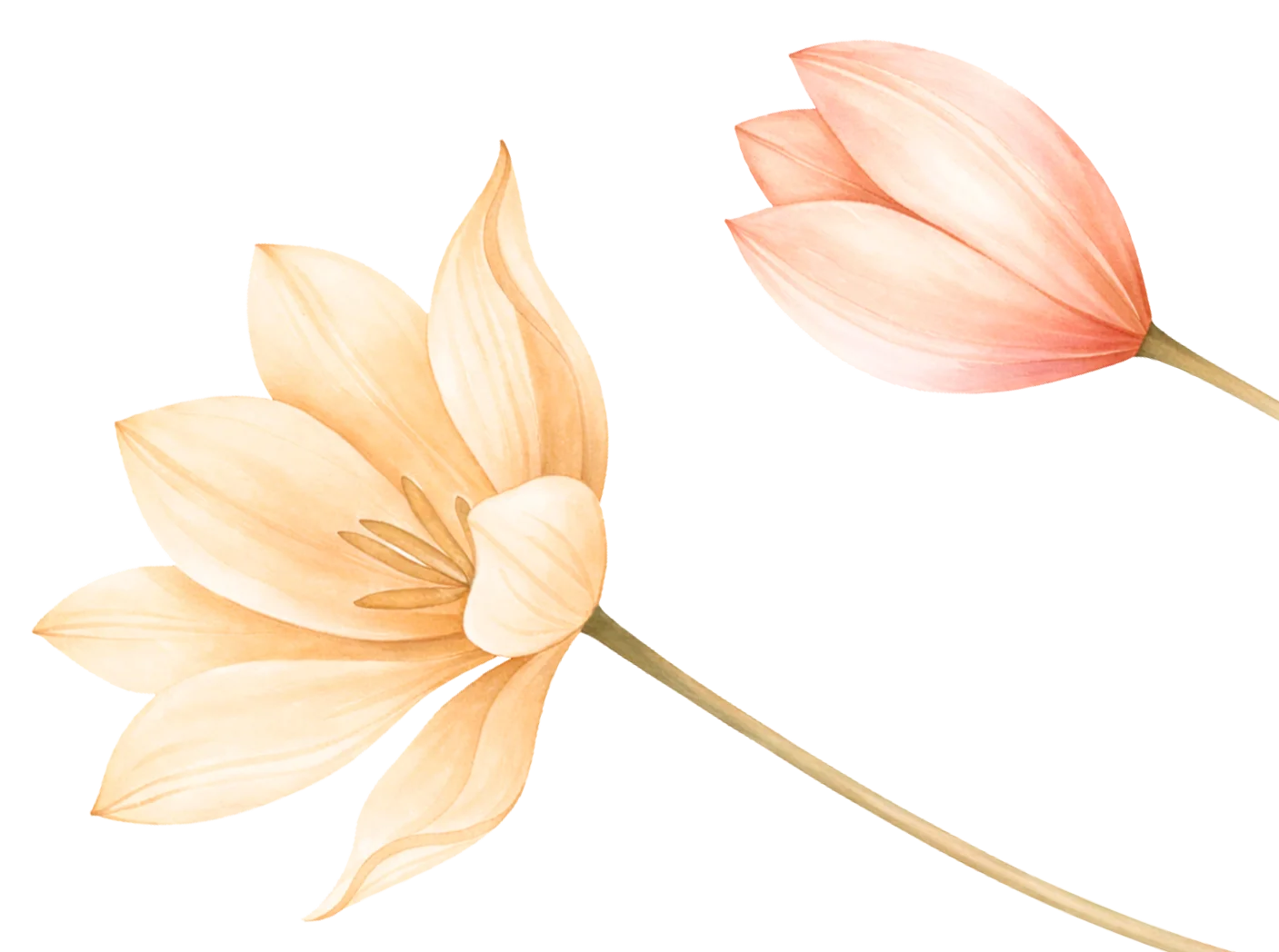 Flores decorativas