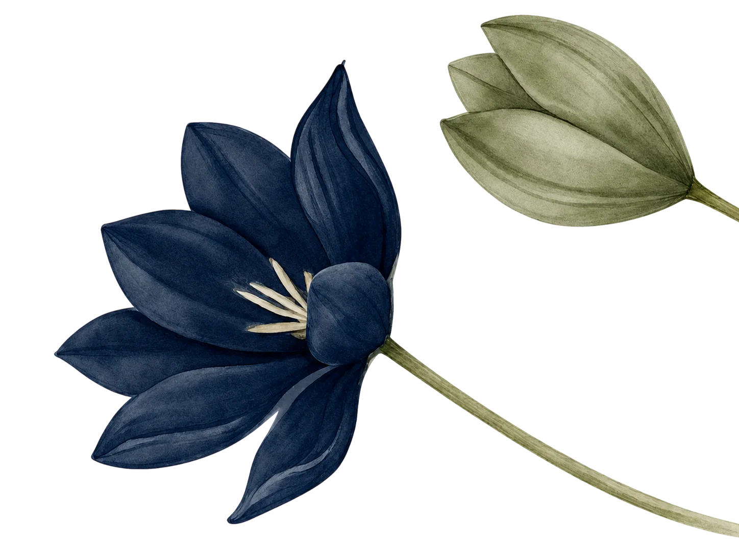 Flores decorativas