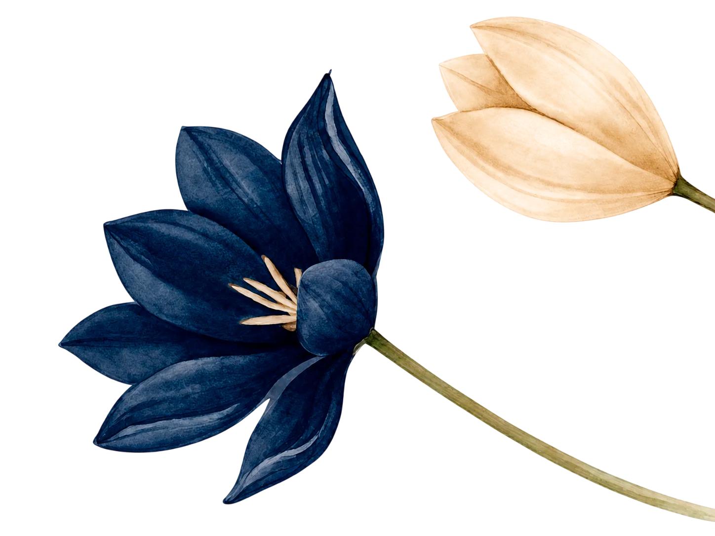 Flores decorativas