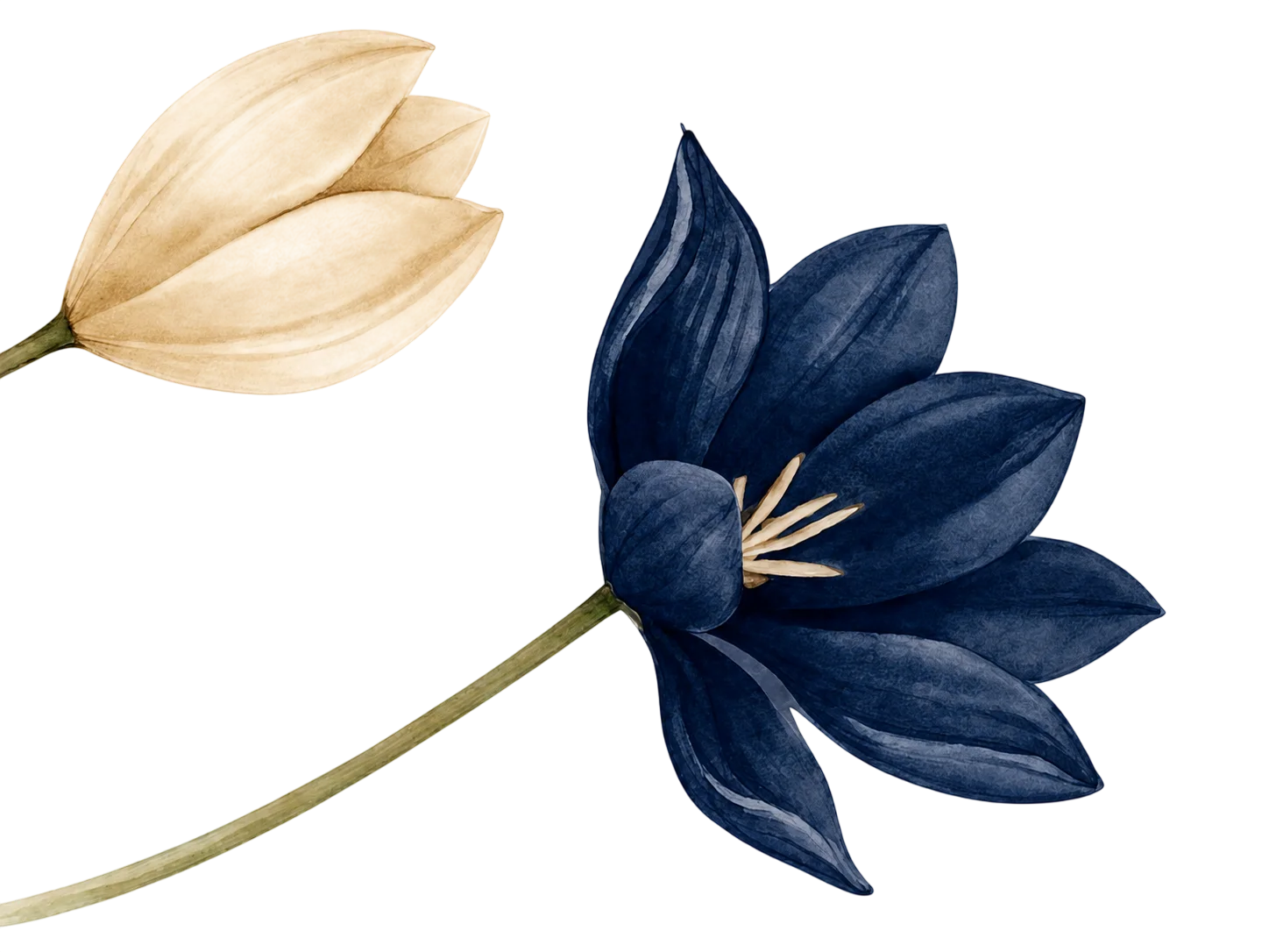 Flores decorativas