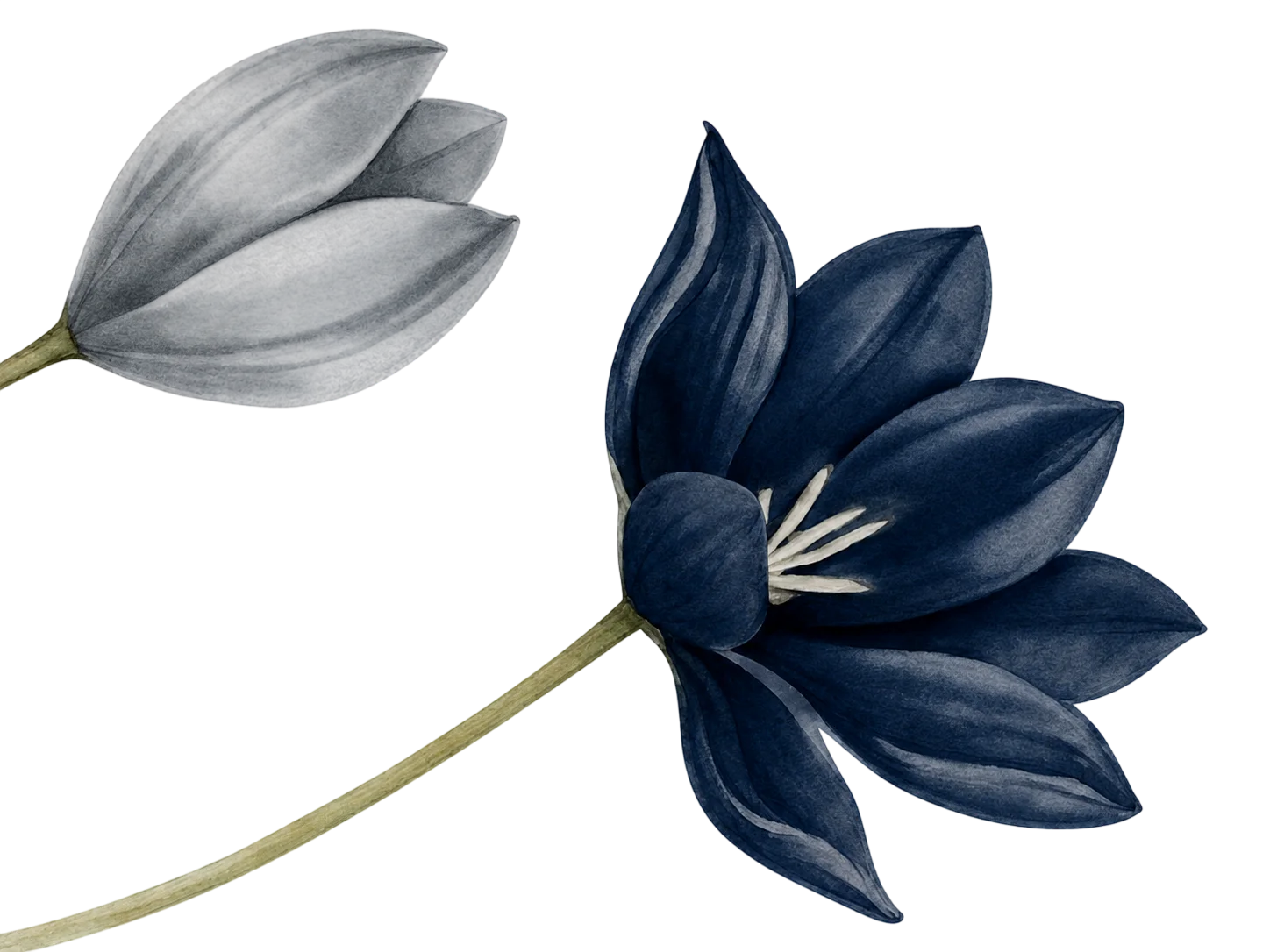 Flores decorativas